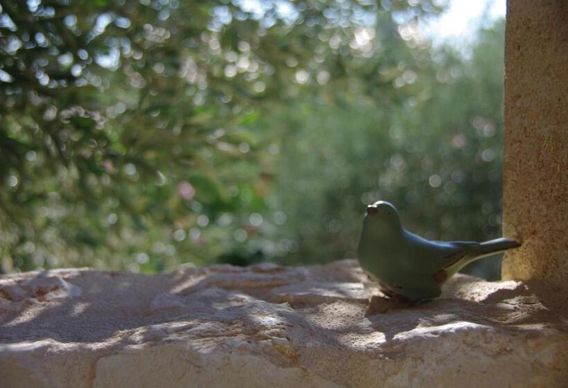 Bed and Breakfast Uzes Decouvertes