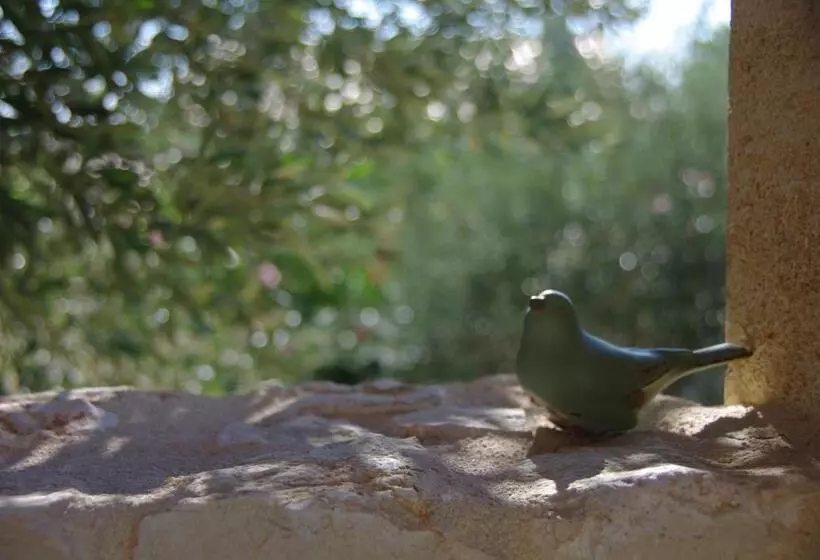 Bed and Breakfast Uzes Decouvertes