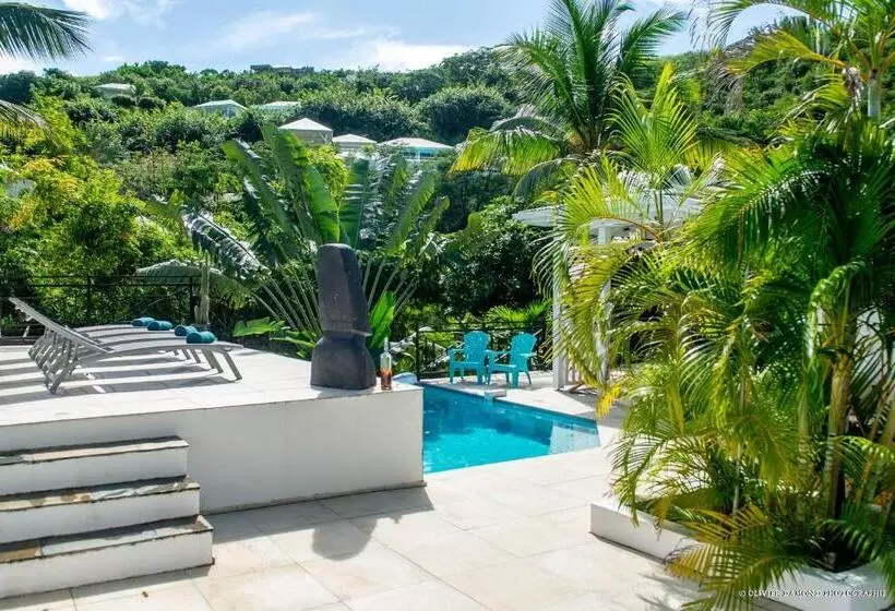 تختخواب و صبحانه Villa « Fleur De Pirate »