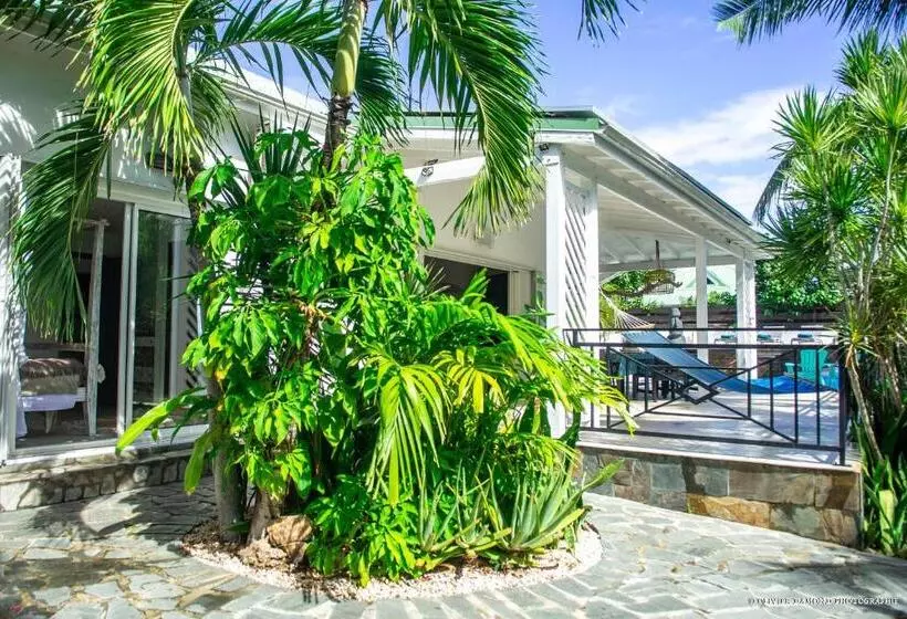 تختخواب و صبحانه Villa « Fleur De Pirate »