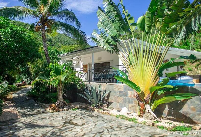 تختخواب و صبحانه Villa « Fleur De Pirate »