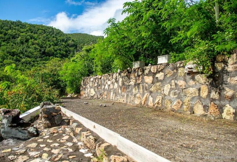 تختخواب و صبحانه Villa « Fleur De Pirate »