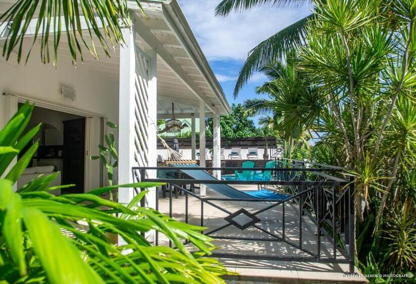 تختخواب و صبحانه Villa « Fleur De Pirate »