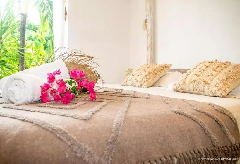 تختخواب و صبحانه Villa « Fleur De Pirate »