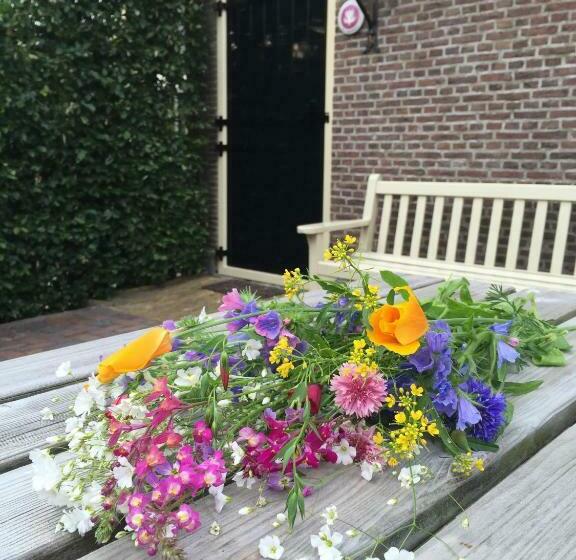 Bed & Breakfast Pax Tibi