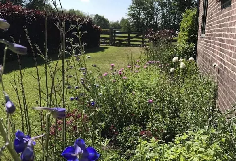 Bed & Breakfast Pax Tibi