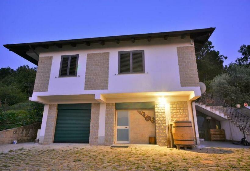 住宿加早餐 Affittacamere Convivio