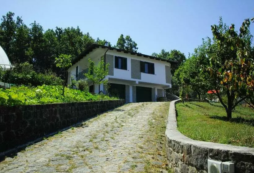 Aamiaismajoitus (B&B) Affittacamere Convivio