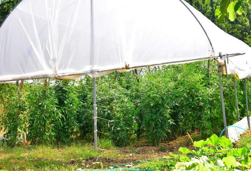 住宿加早餐 Affittacamere Convivio