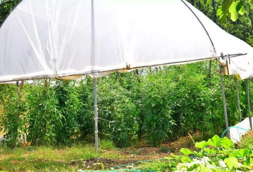 Aamiaismajoitus (B&B) Affittacamere Convivio