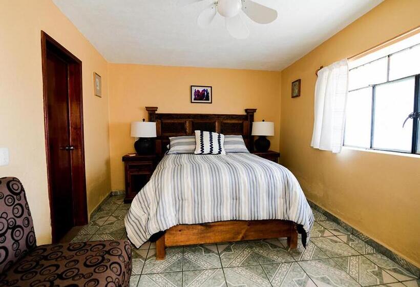 膳宿费 Posada Las Reynas By Rotamundos