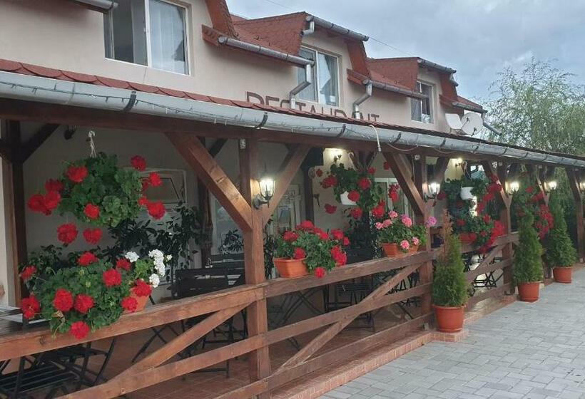 Bed and Breakfast Casa Soral