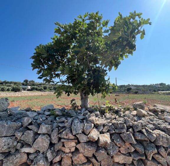 پانسیون Prospettiva Polignano