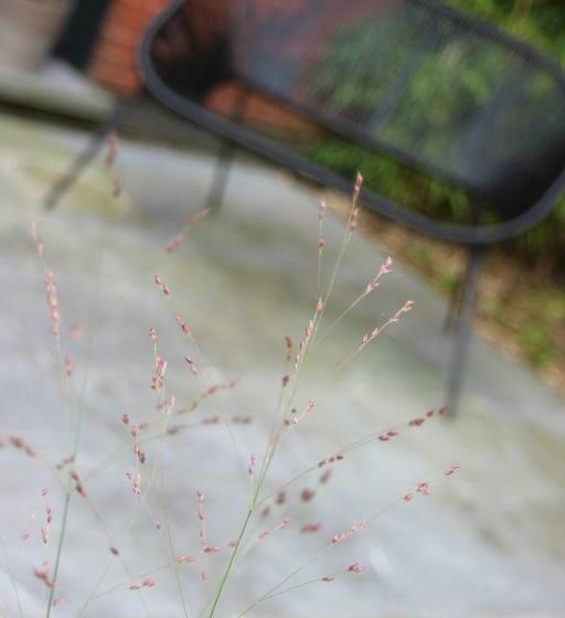 Selemo B&b   Business And Leisure   Guestroom With Private Entrance   Ensuite Bathroom   Free Parkin