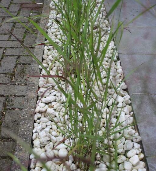 Selemo B&b   Business And Leisure   Guestroom With Private Entrance   Ensuite Bathroom   Free Parkin