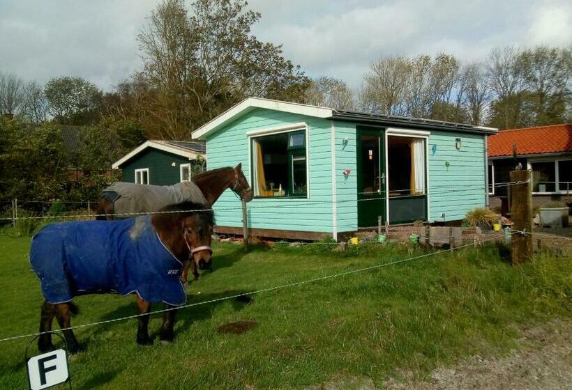 Bed and Breakfast Betty`s Tiny House