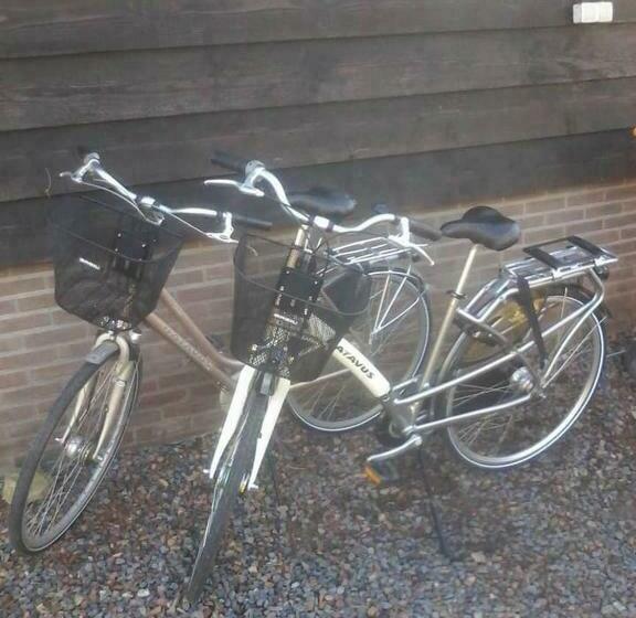 Bed and Breakfast Betty`s Tiny House