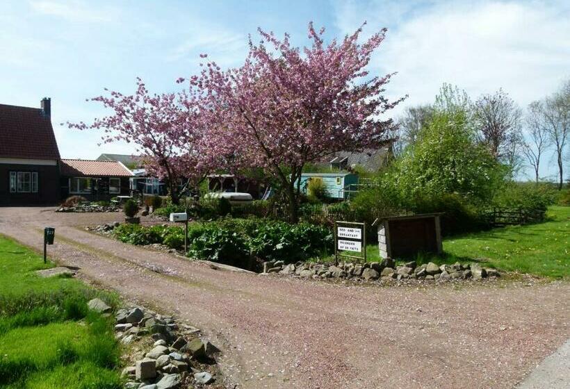 Bed and Breakfast Betty`s Tiny House