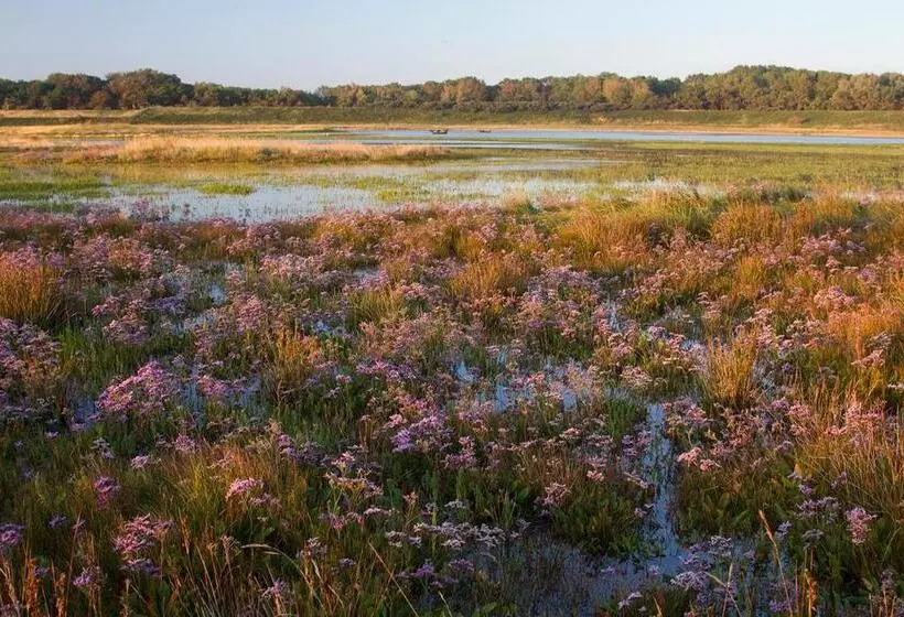 Aamiaismajoitus (B&B) Suite & Wellness