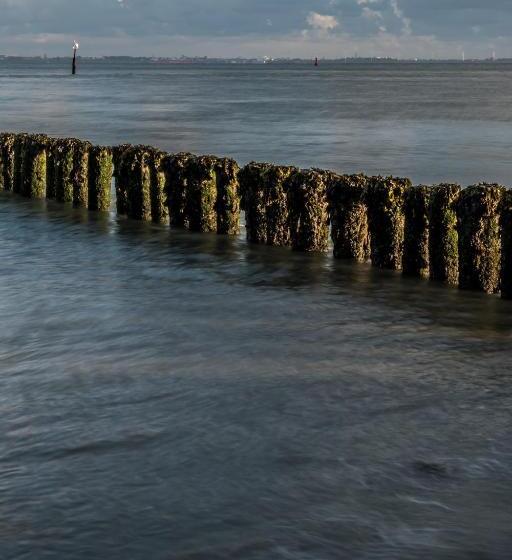 צימר Suite & Wellness