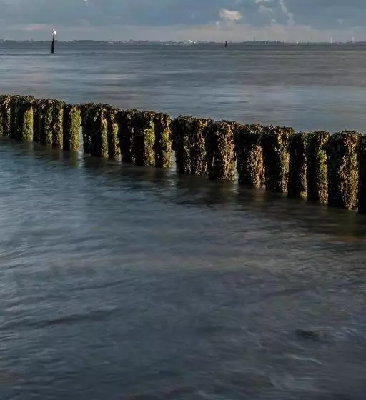 Aamiaismajoitus (B&B) Suite & Wellness