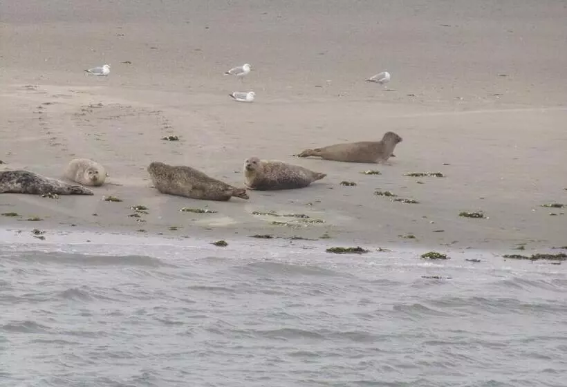 Aamiaismajoitus (B&B) Suite & Wellness