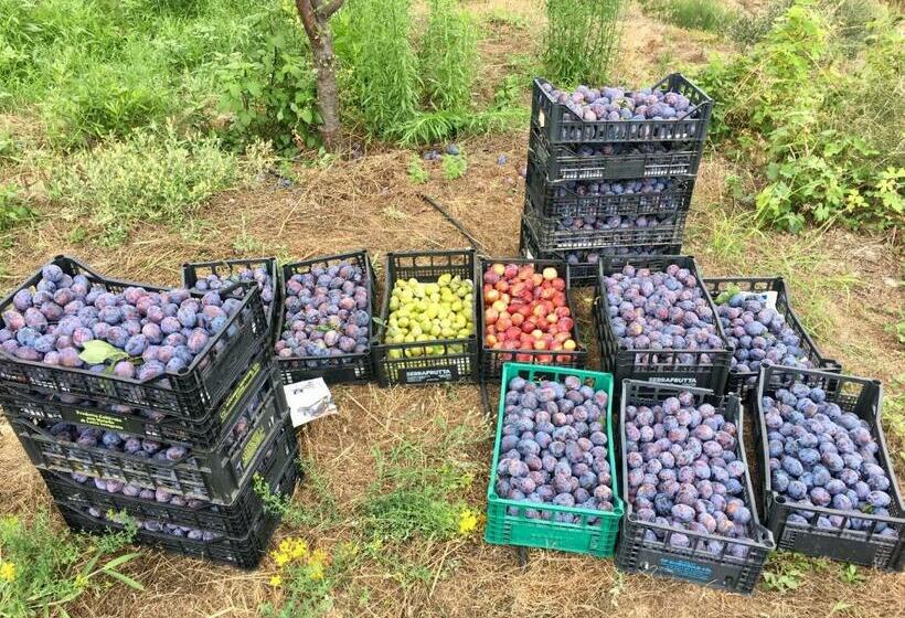 בית מלון כפרי Agriturismo Lavalleggia