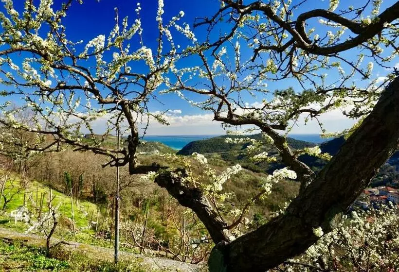 ホテル Agriturismo Lavalleggia