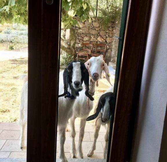 בית מלון כפרי Agriturismo Lavalleggia