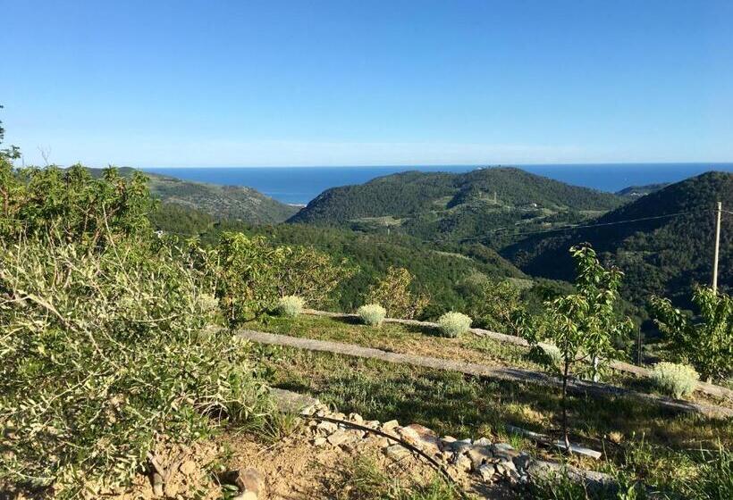 בית מלון כפרי Agriturismo Lavalleggia