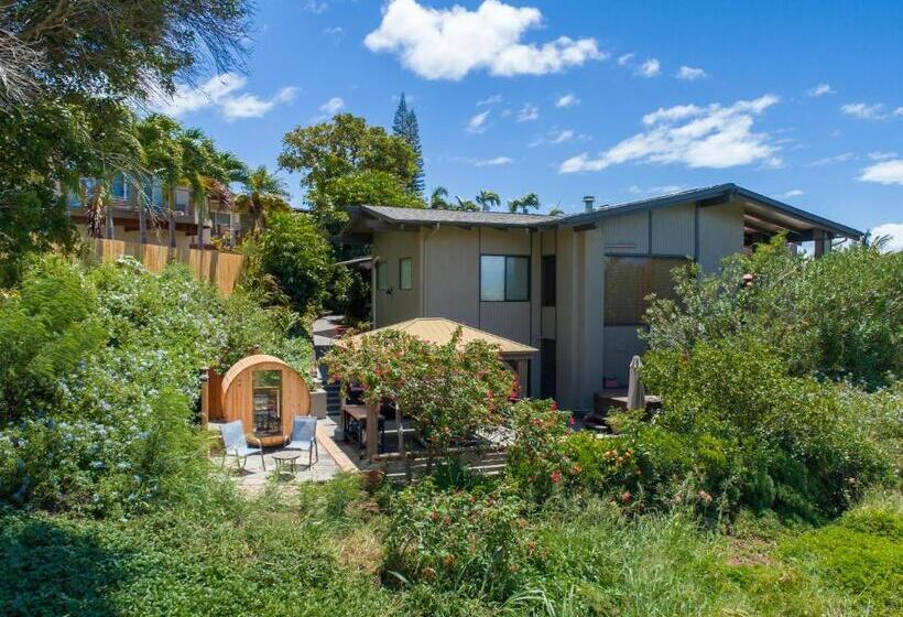 Noahs Hideaway Luxury B&b