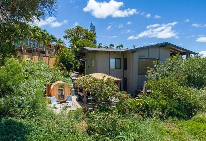 Noahs Hideaway Luxury B&b