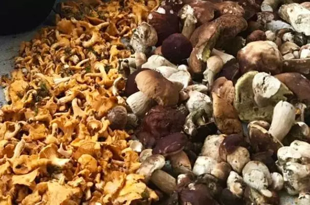 ペンション Feielhof