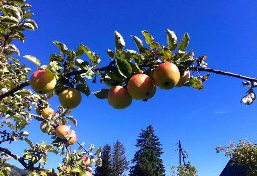 ペンション Feielhof