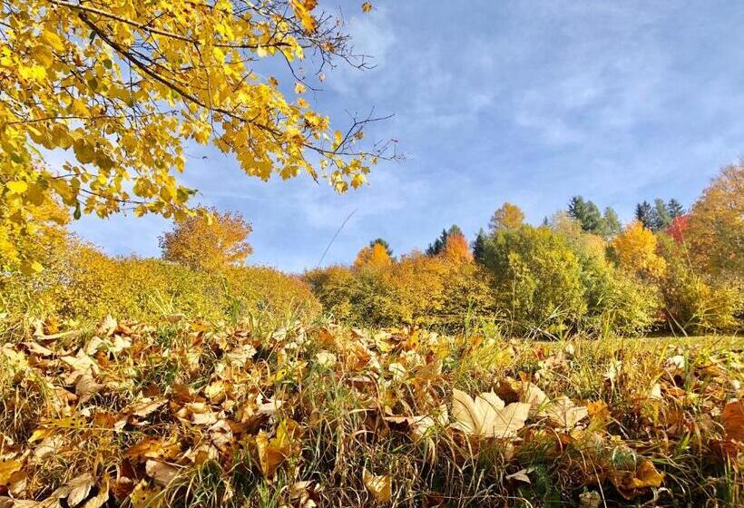 ペンション Feielhof