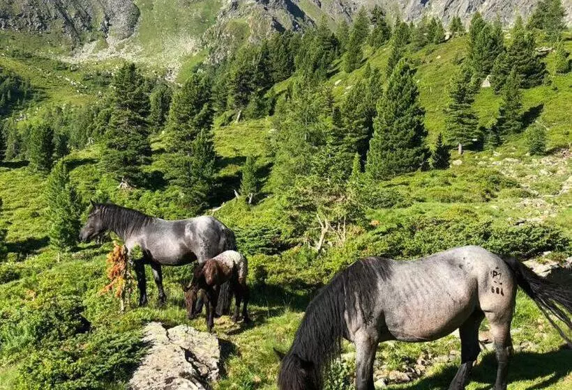 ペンション Feielhof