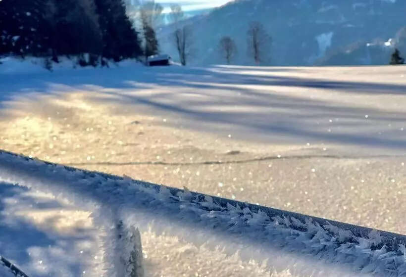 ペンション Feielhof