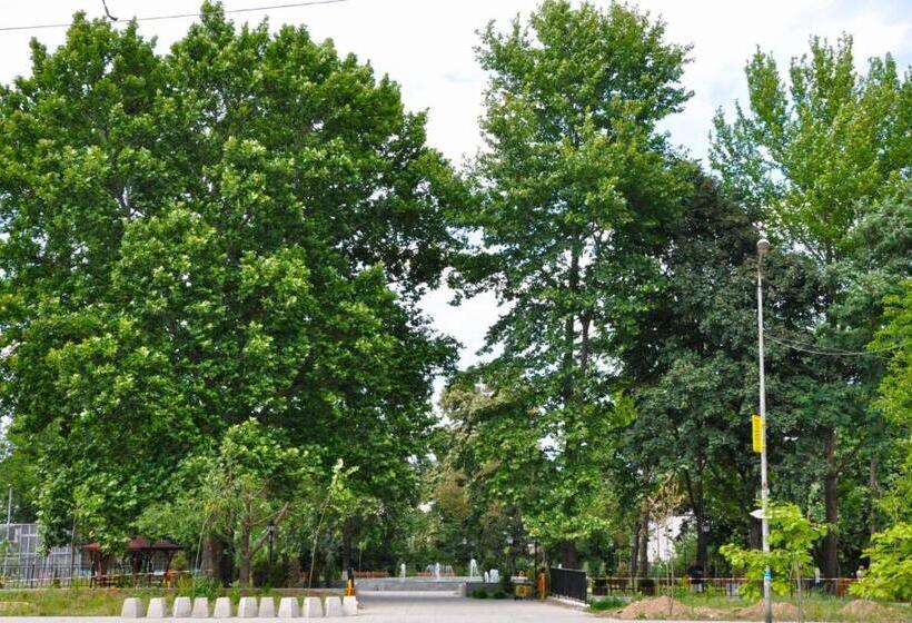 Pansiyon Merilyn Petrich