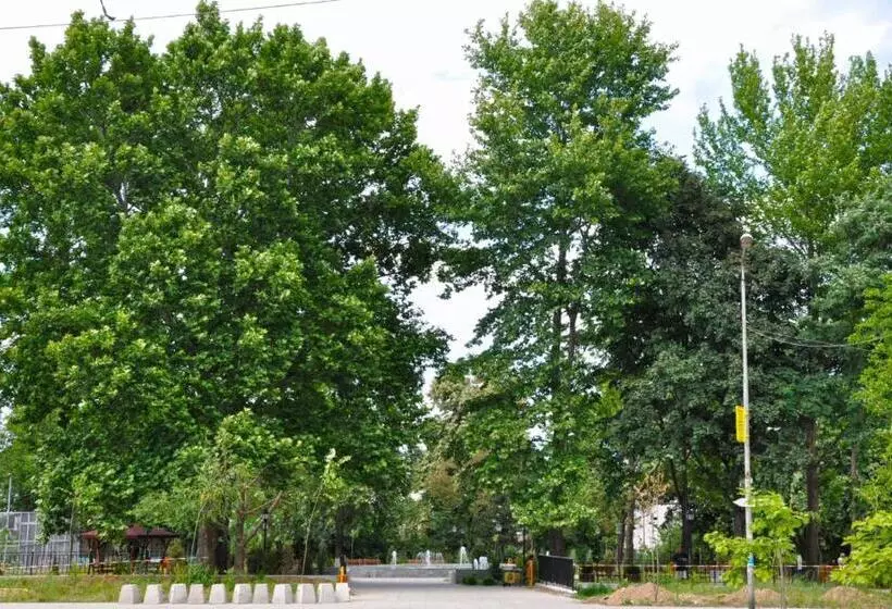 Majatalo Merilyn Petrich