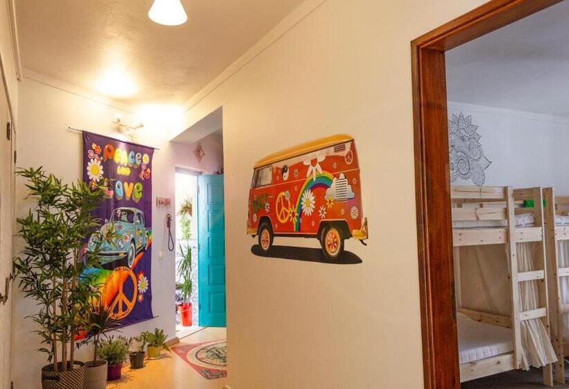 Пансион Paz & Amor Guest House   Peace & Love