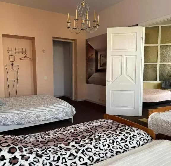 هاستل Sija S House