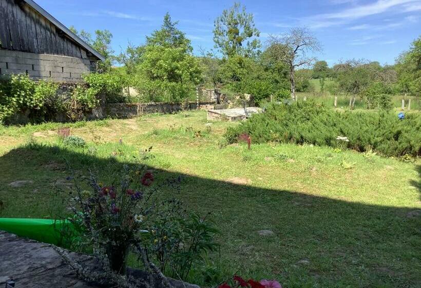 La Maison Du Notaire B&b En Gîte La Belle Rose, Met Zwembad En Huisdier Vriendelijk