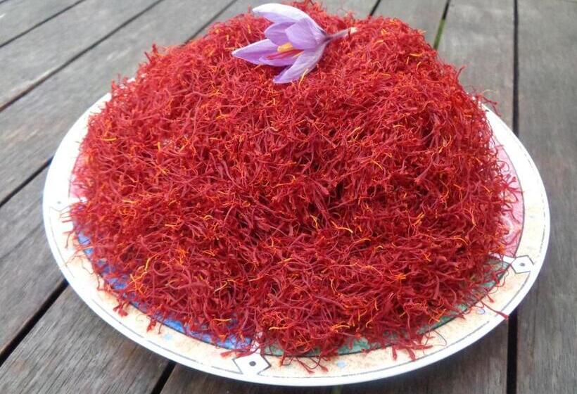 צימר Presbytère D Arpentian