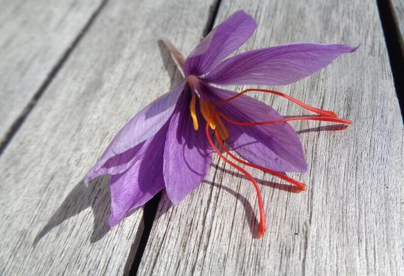 צימר Presbytère D Arpentian