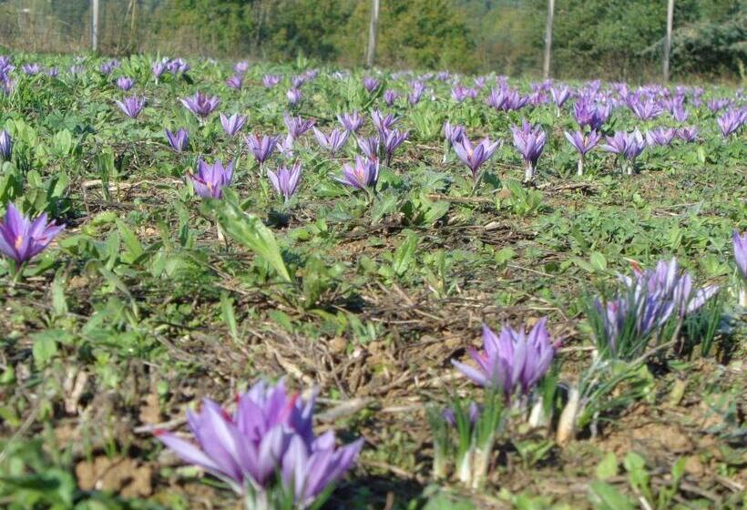 צימר Presbytère D Arpentian