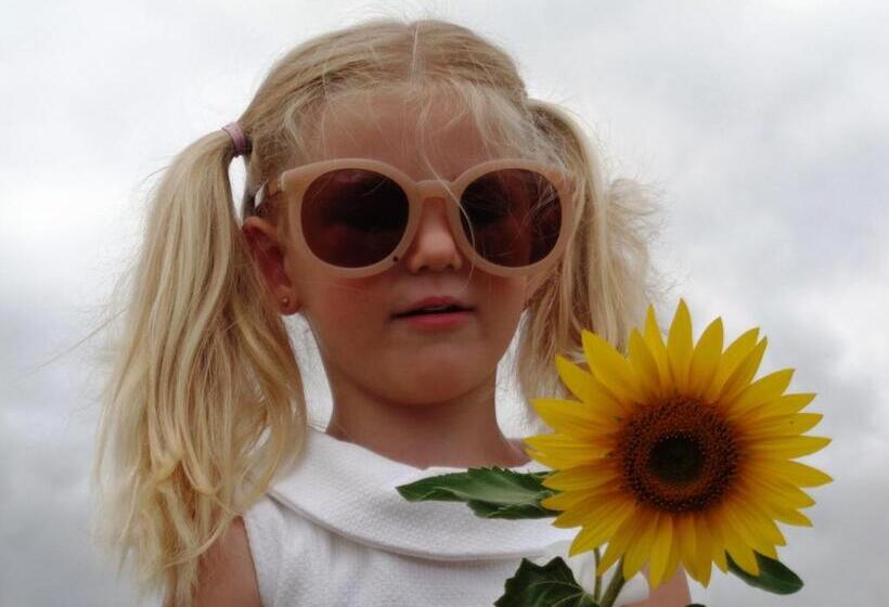 צימר Presbytère D Arpentian