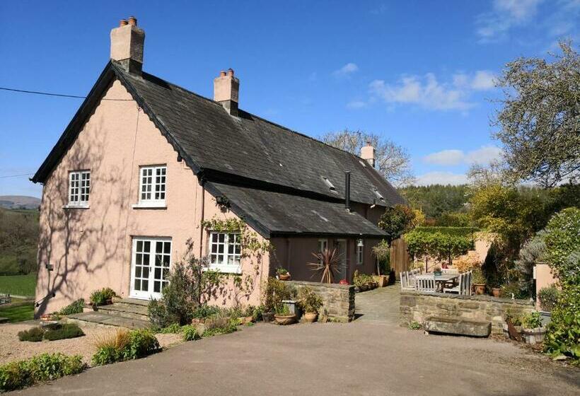 مبيت وإفطار Walnut Tree Farm