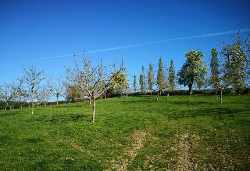 مبيت وإفطار Walnut Tree Farm