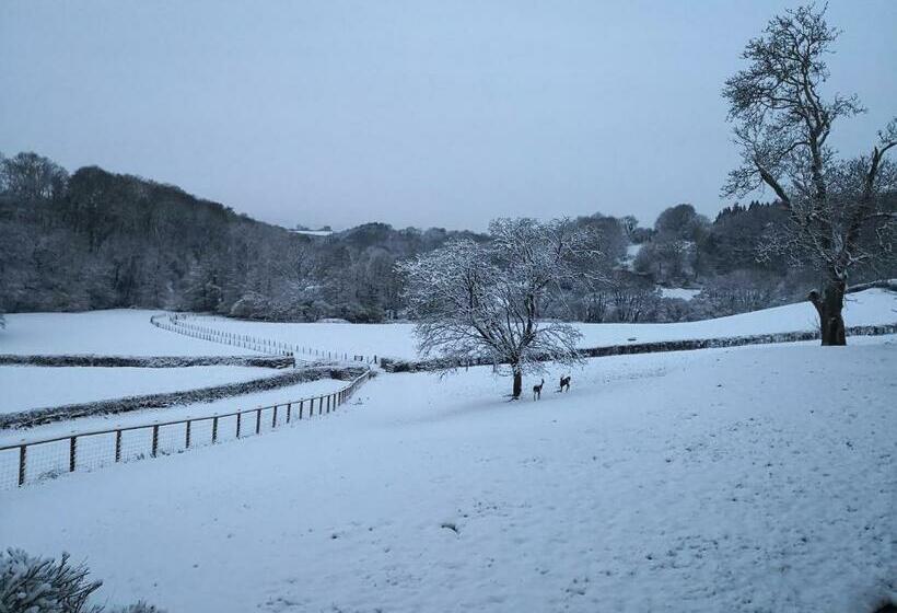 مبيت وإفطار Walnut Tree Farm