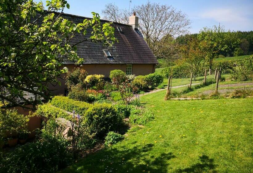 مبيت وإفطار Walnut Tree Farm